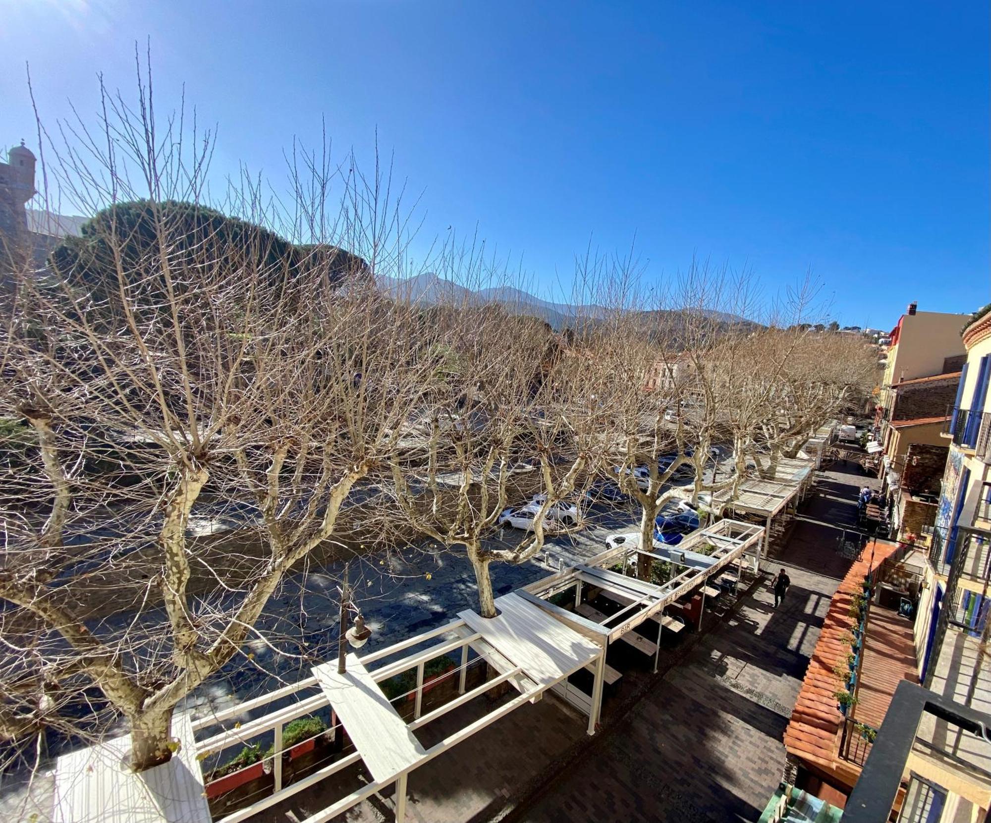 קוליור Hotel Des Templiers מראה חיצוני תמונה